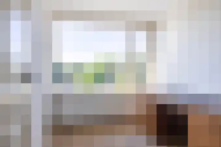 Euterpeplein 6 B Amersfoort thumbnail 12