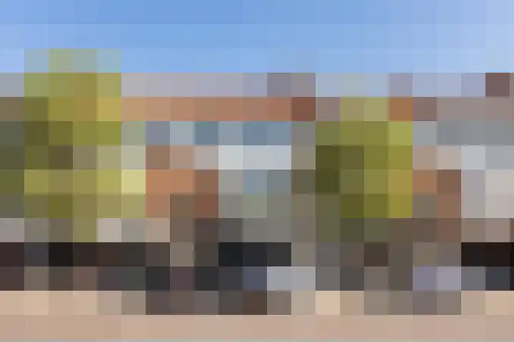Euterpeplein 6 B Amersfoort thumbnail 20