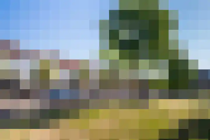 Euterpeplein 6 B Amersfoort thumbnail 21