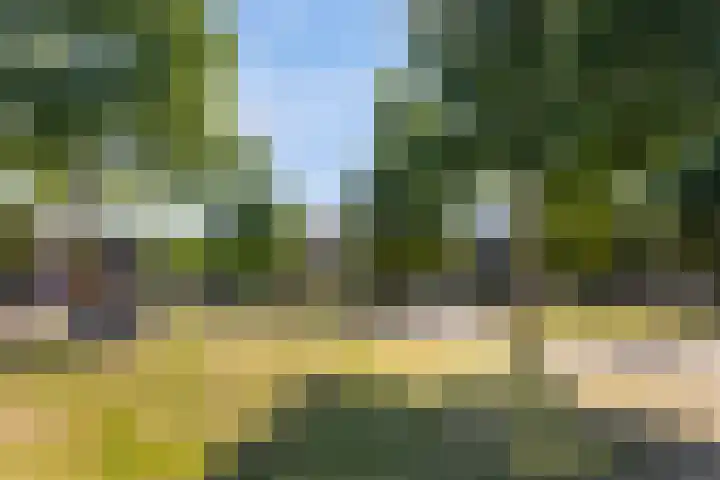 Euterpeplein 6 B Amersfoort thumbnail 22