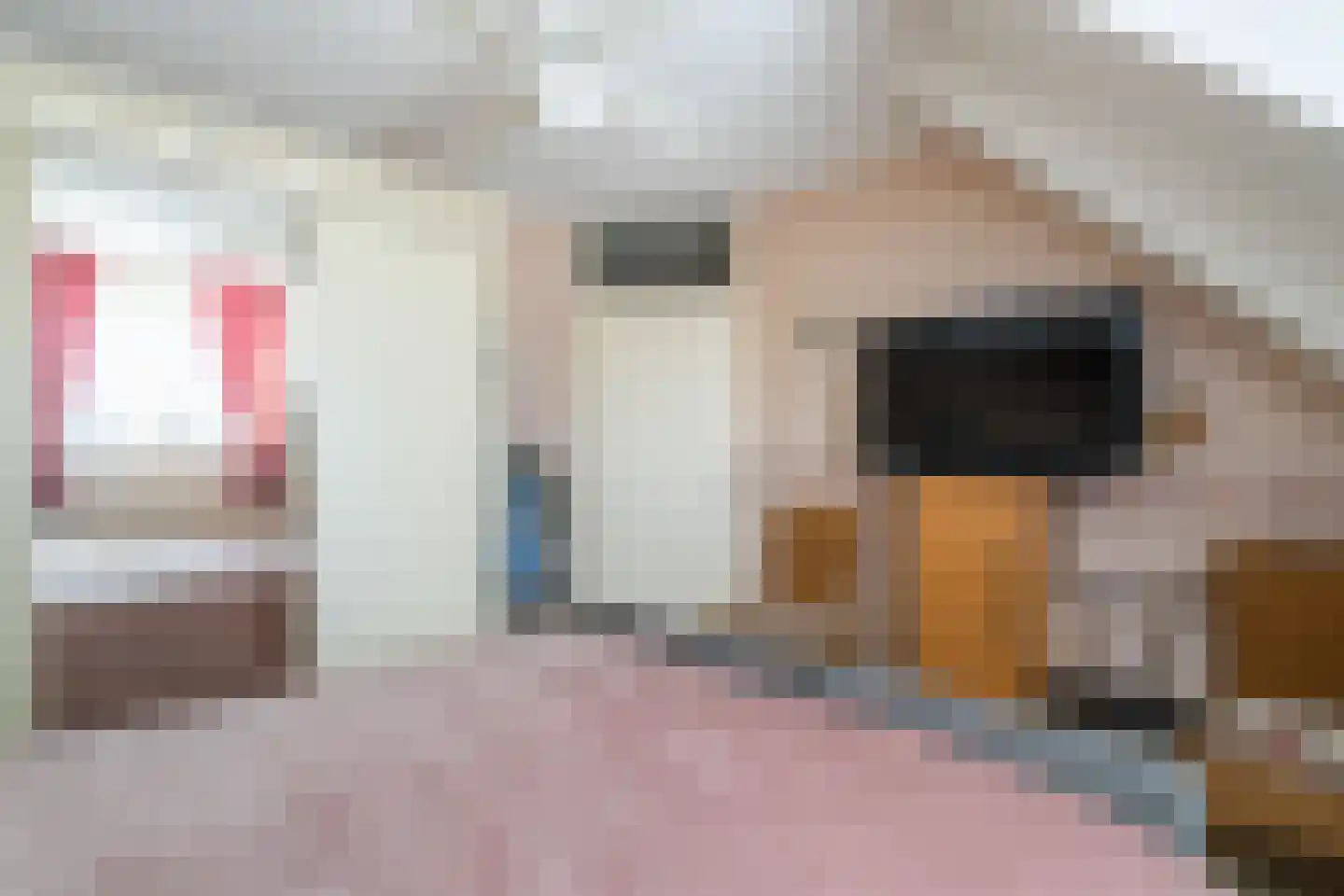 Eutropiastraat 4 Weert thumbnail 20