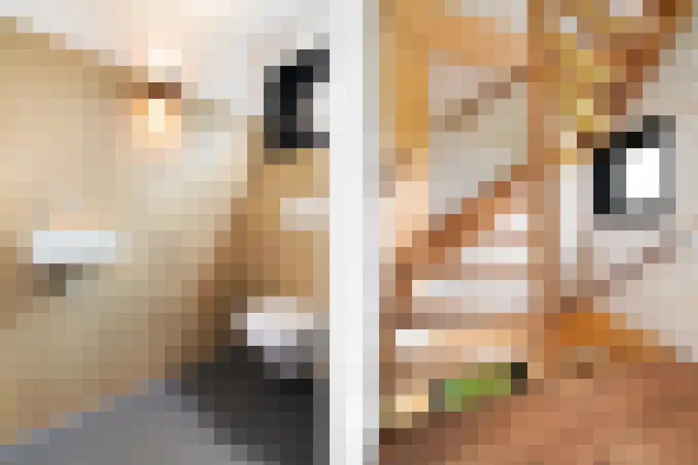 Euverem 52 128 Gulpen thumbnail 11