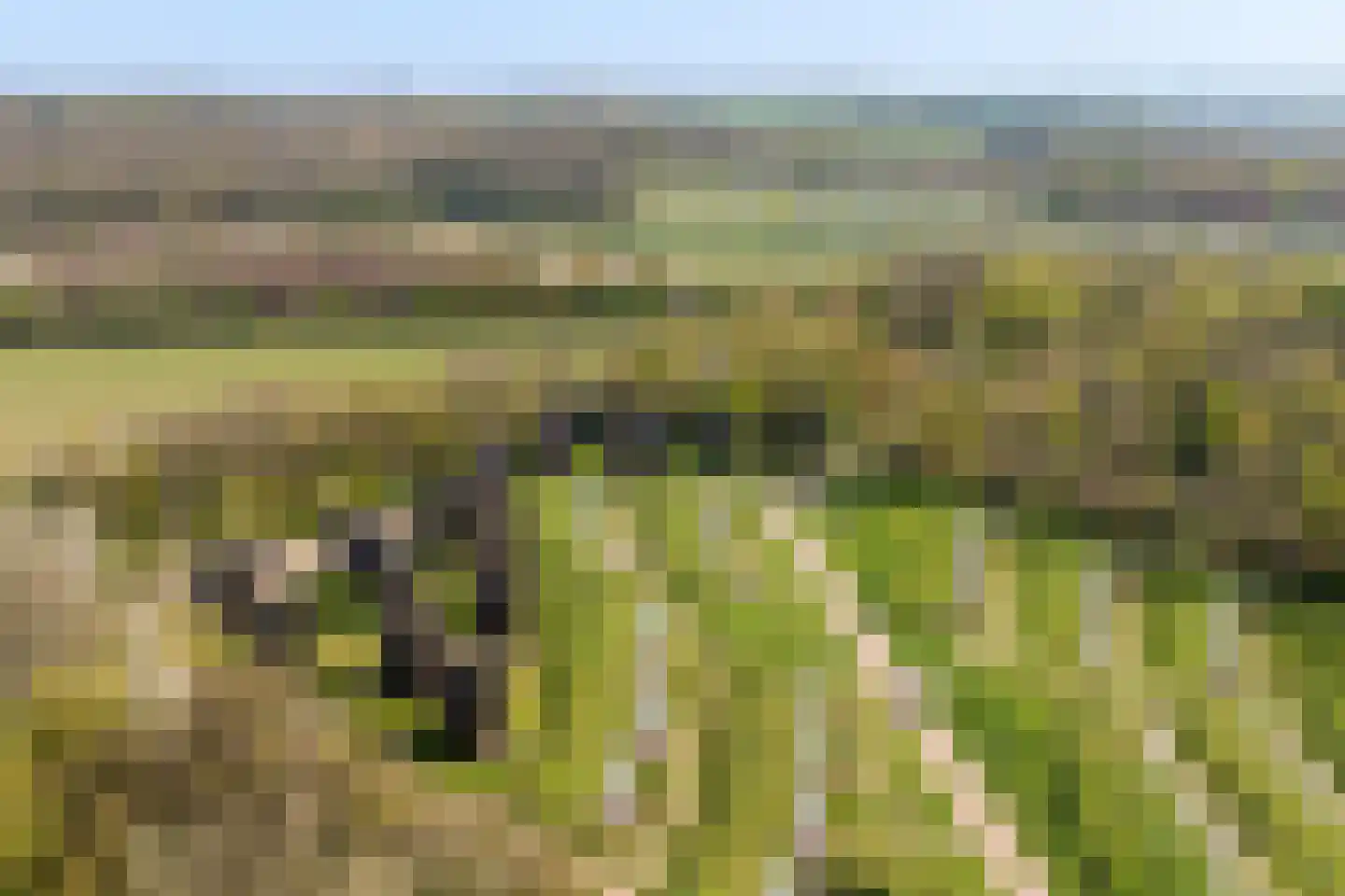 Euverem 52 128 Gulpen thumbnail 23