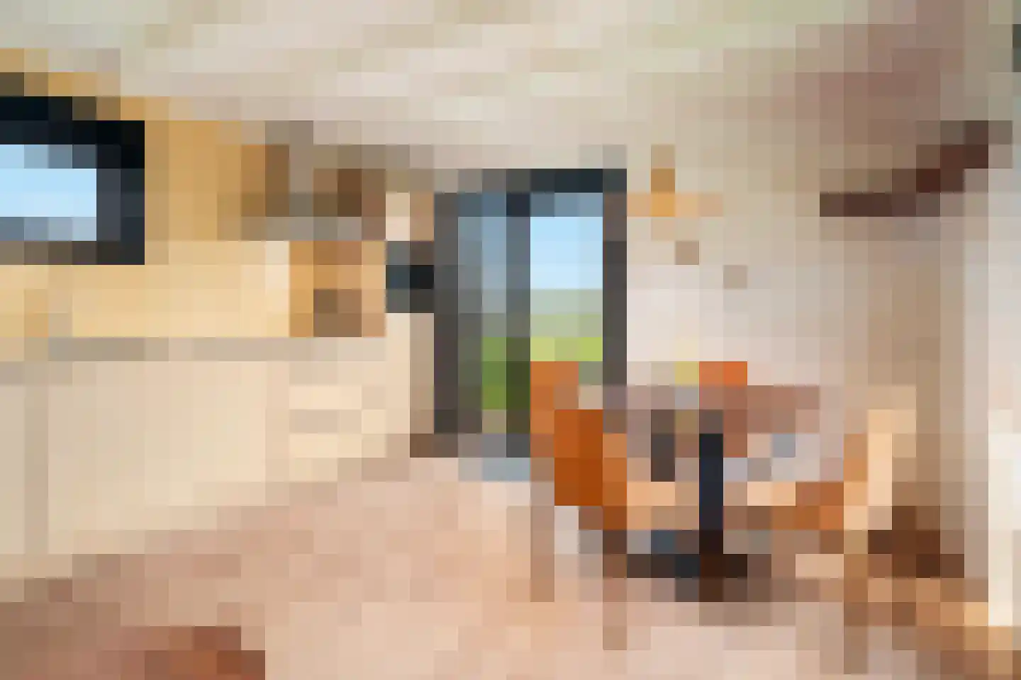 Euverem 52 128 Gulpen thumbnail 9