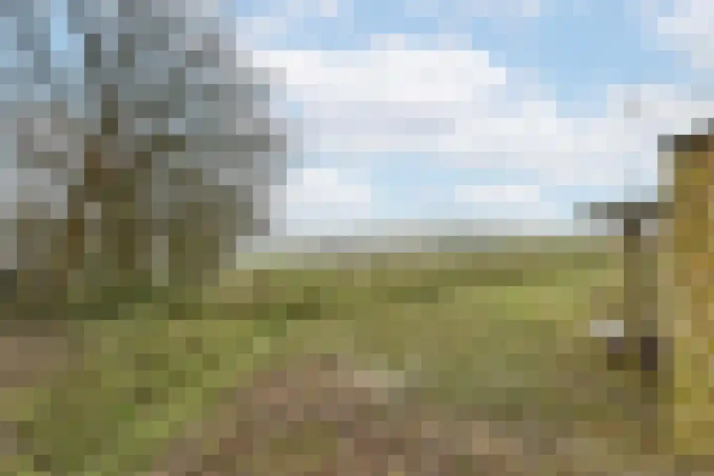 Euverem 52 139 Gulpen thumbnail 23