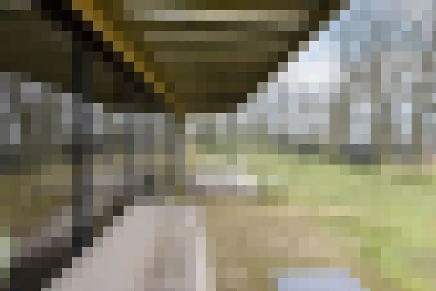 Euverem 52 139 Gulpen thumbnail 25