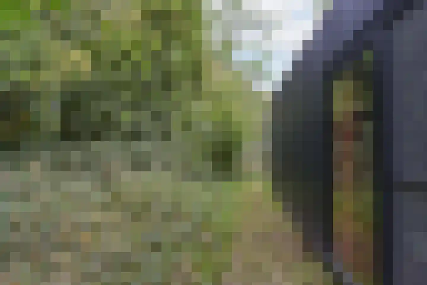 Euverem 52 52 Gulpen thumbnail 22