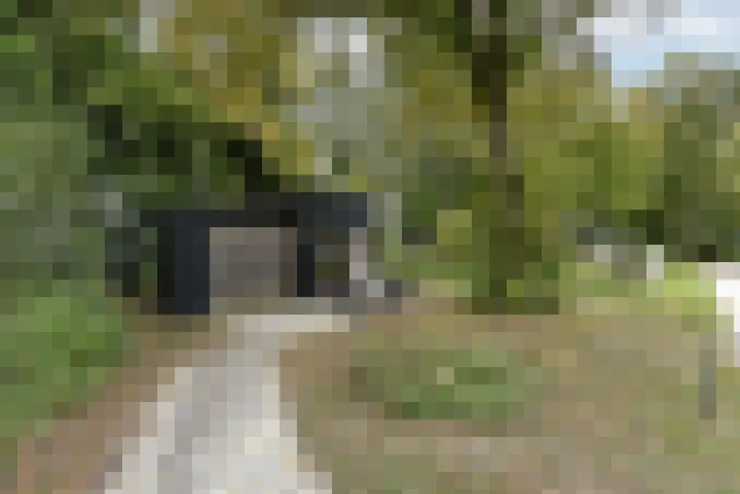 Euverem 52 54 Gulpen thumbnail 21