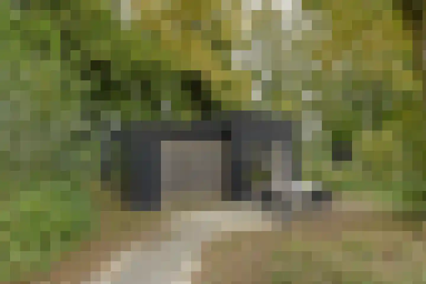 Euverem 52 54 Gulpen thumbnail 22