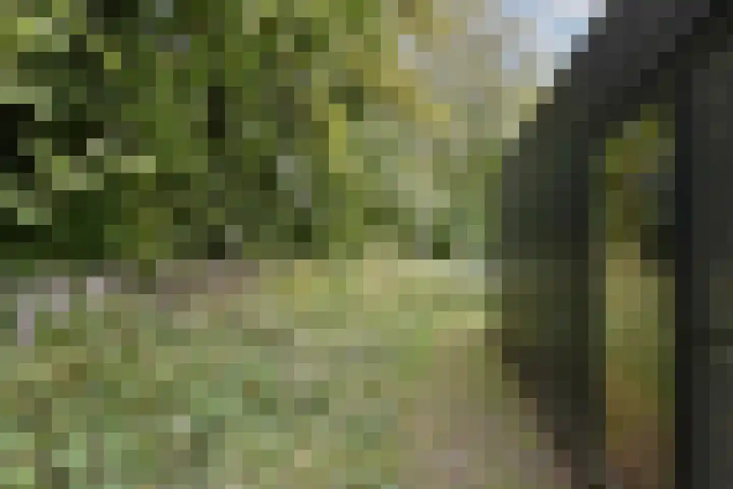 Euverem 52 54 Gulpen thumbnail 23