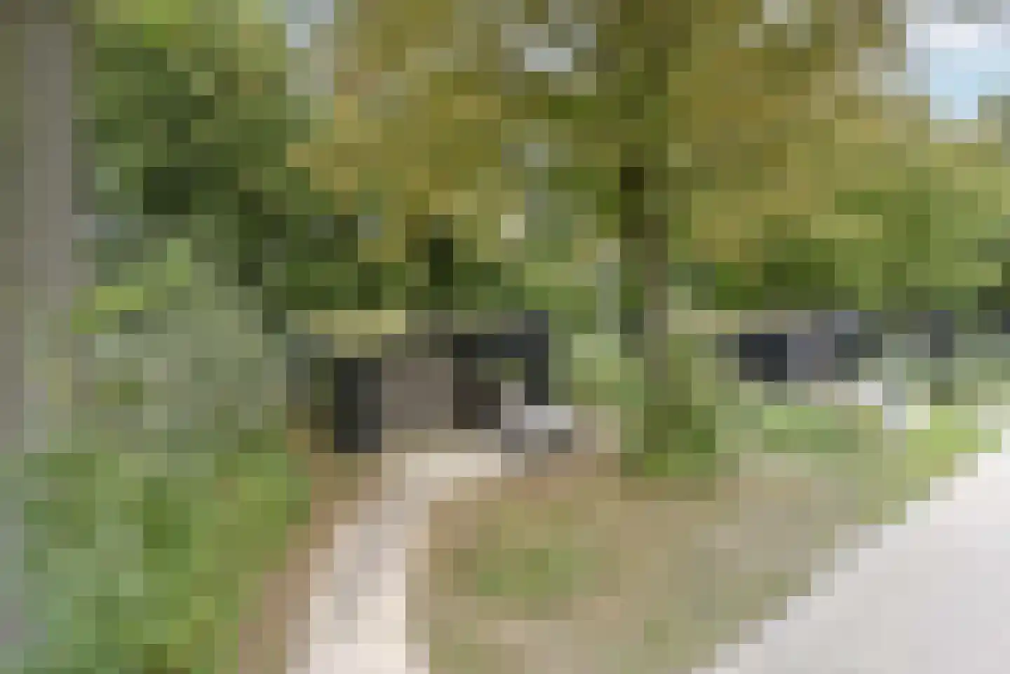 Euverem 52 54 Gulpen thumbnail 24