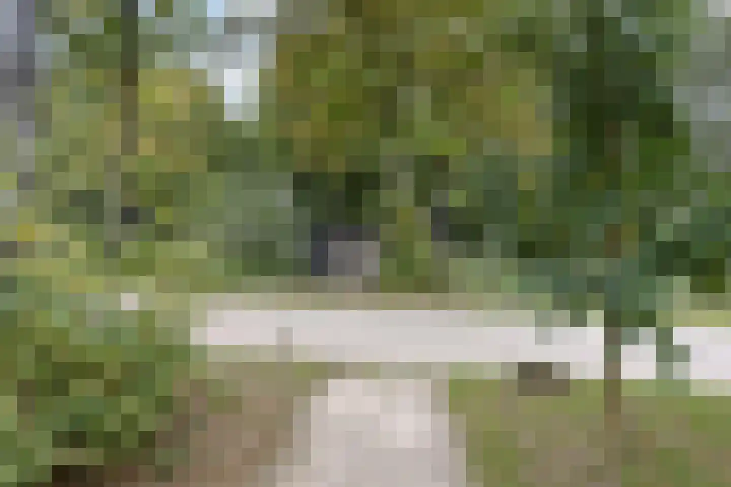 Euverem 52 54 Gulpen thumbnail 25