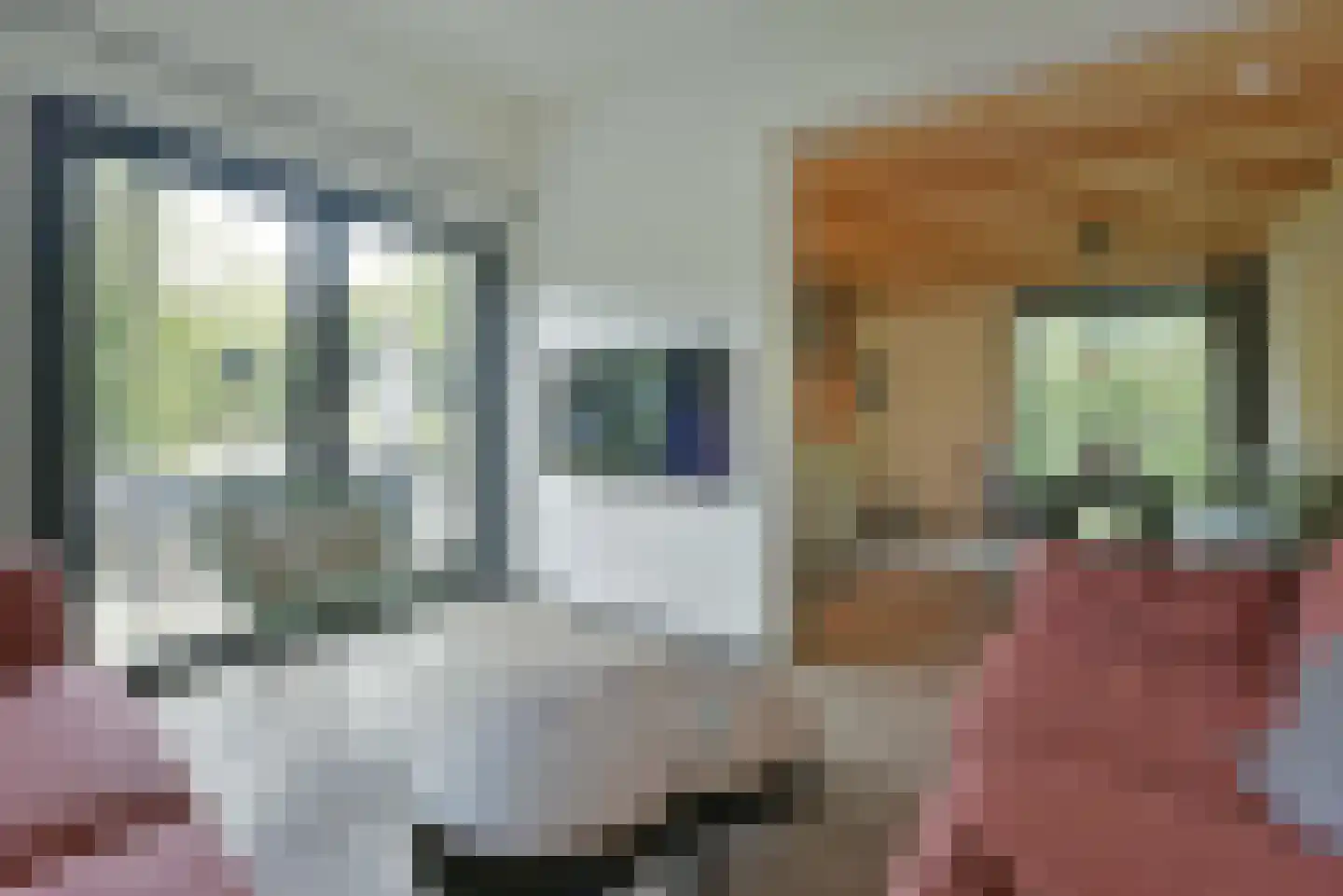 Euverem 52 54 Gulpen thumbnail 5