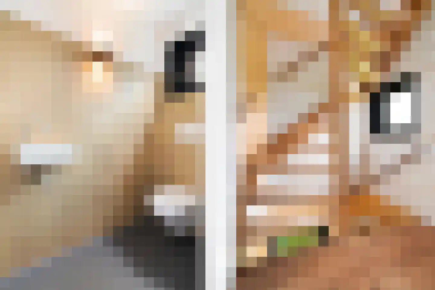 Euverem 52 Gulpen thumbnail 10