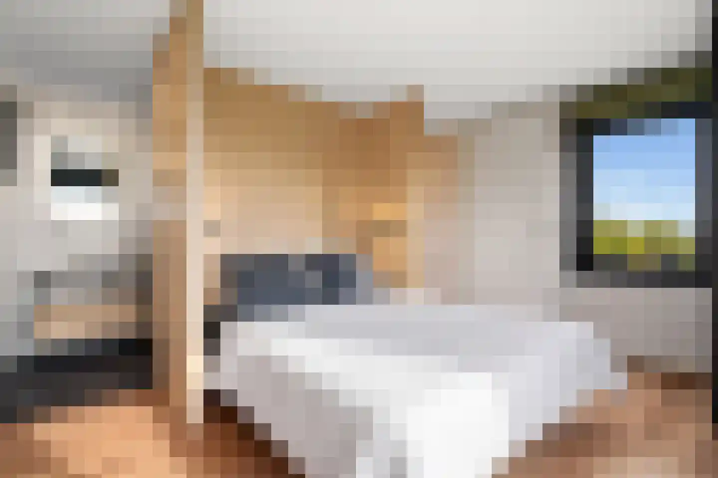 Euverem 52 Gulpen thumbnail 12