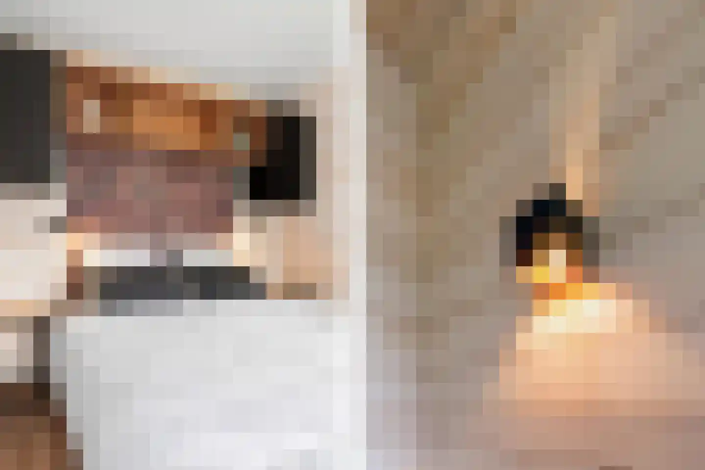 Euverem 52 Gulpen thumbnail 14