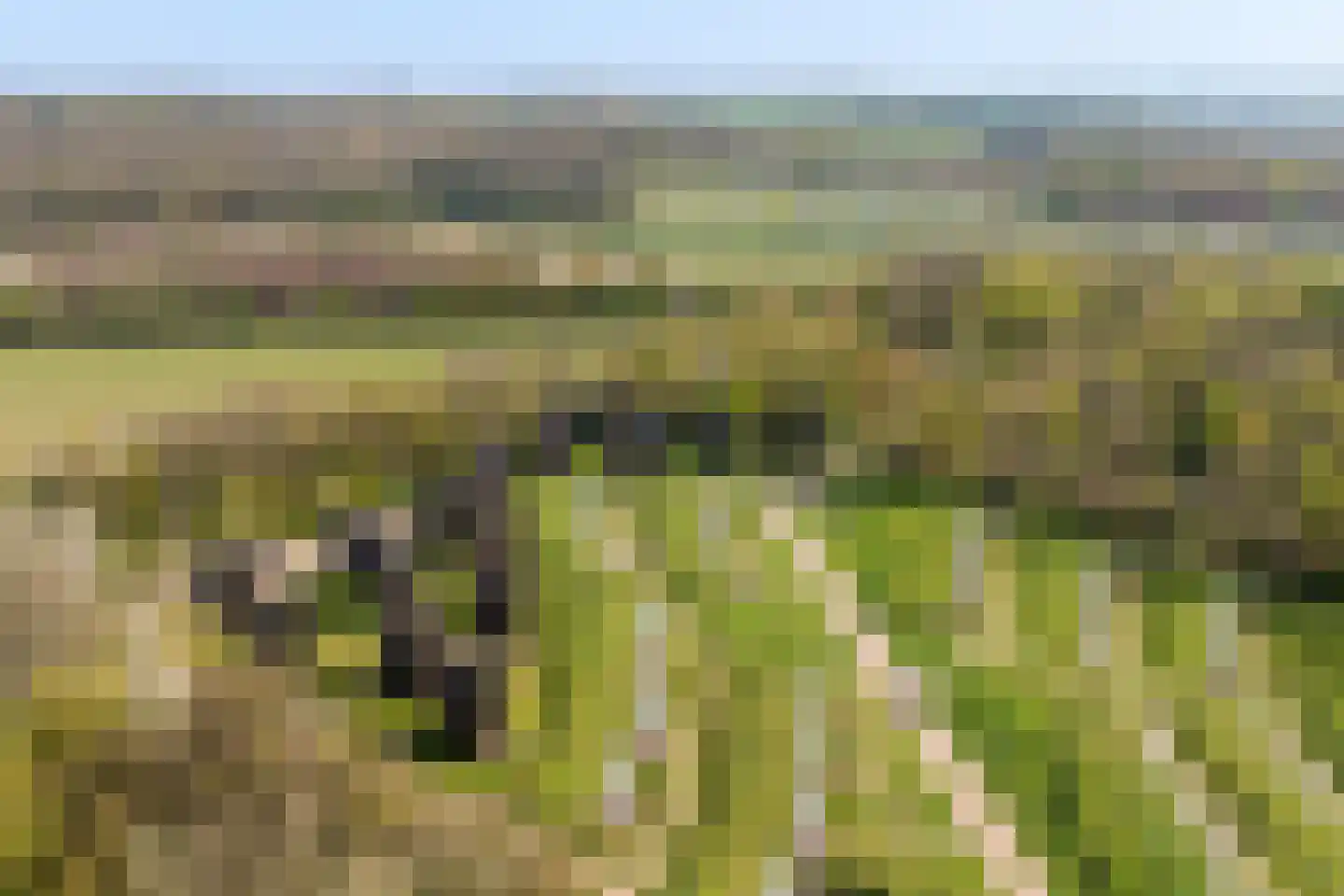 Euverem 52 Gulpen thumbnail 22