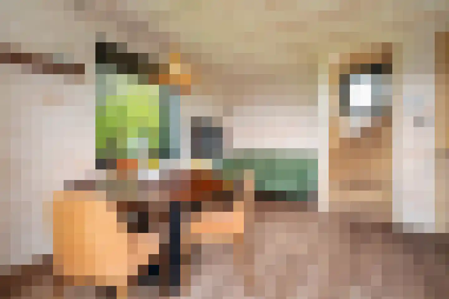 Euverem 52 Gulpen thumbnail 6
