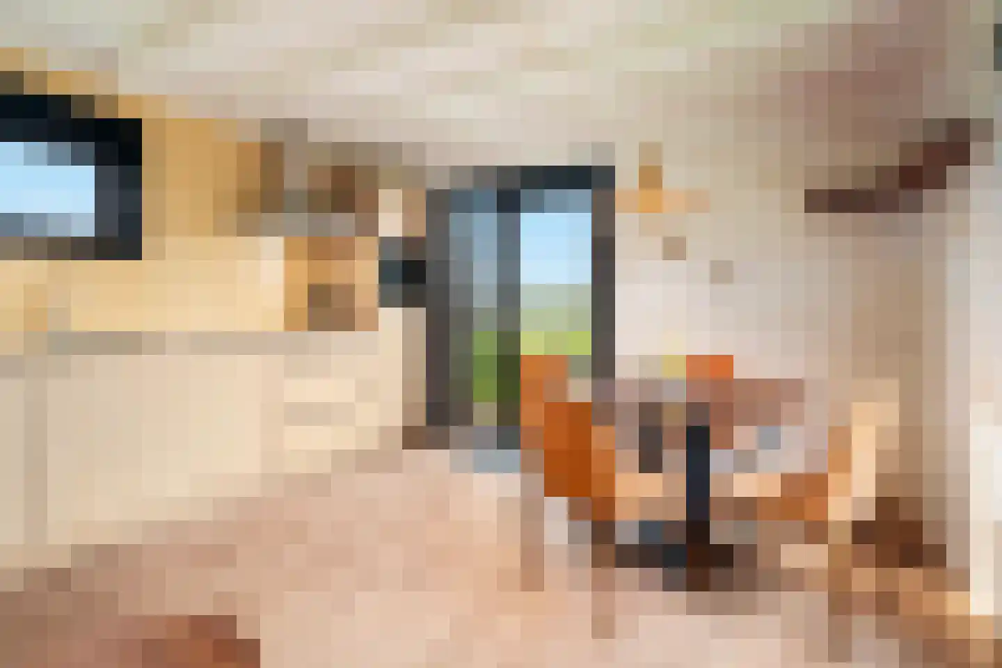 Euverem 52 Gulpen thumbnail 8