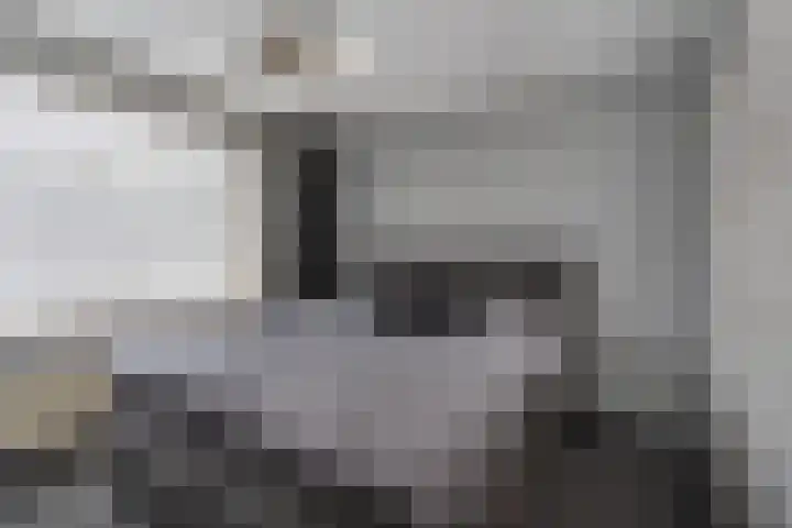 Euwsel 11 Den Dungen thumbnail 10