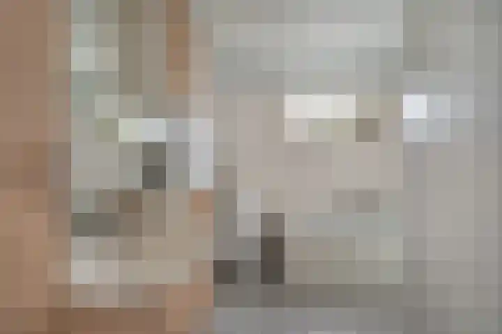 Euwsel 11 Den Dungen thumbnail 13