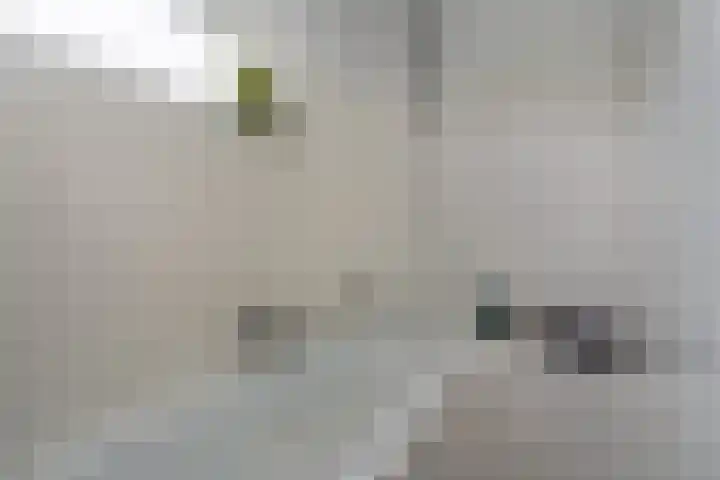 Euwsel 11 Den Dungen thumbnail 14