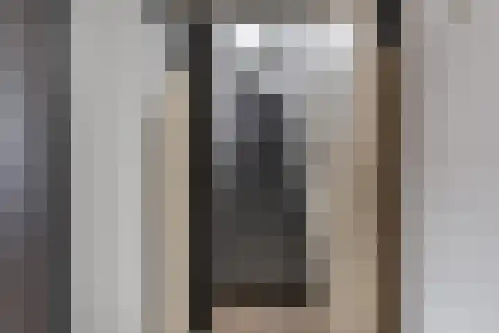Euwsel 11 Den Dungen thumbnail 15