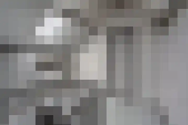 Euwsel 11 Den Dungen thumbnail 16