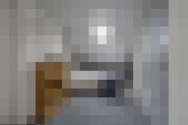 Euwsel 11 Den Dungen thumbnail 17