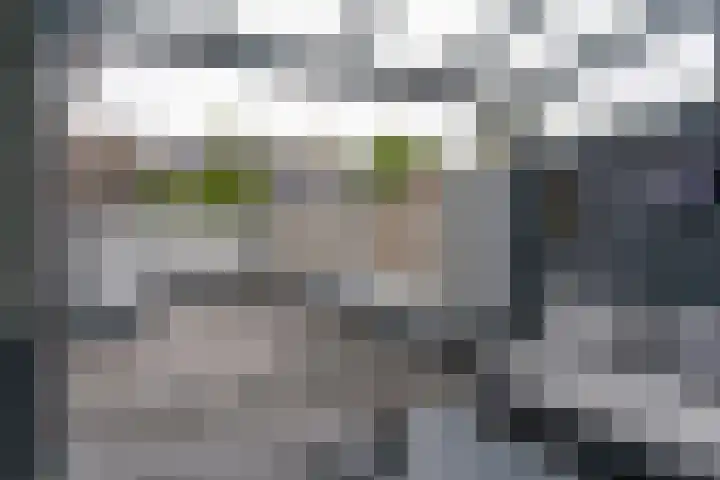 Euwsel 11 Den Dungen thumbnail 18