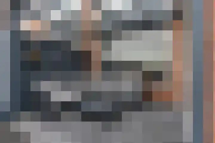 Euwsel 11 Den Dungen thumbnail 19