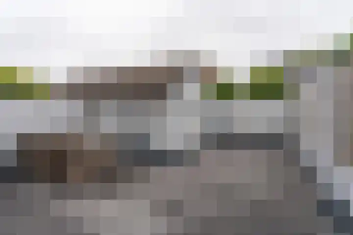 Euwsel 11 Den Dungen thumbnail 20