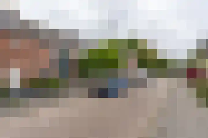 Euwsel 11 Den Dungen thumbnail 22