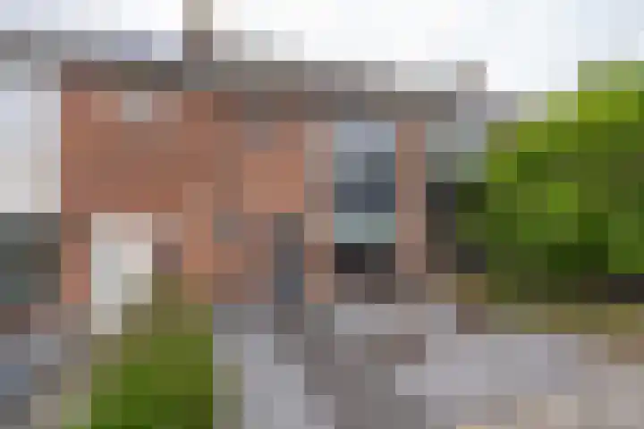 Euwsel 11 Den Dungen thumbnail 23