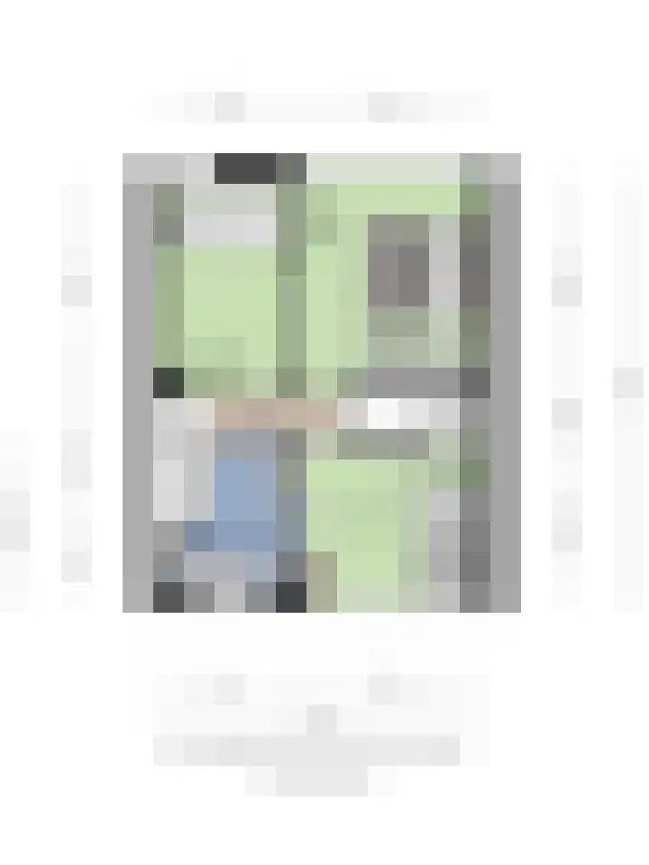 Euwsel 11 Den Dungen thumbnail 25