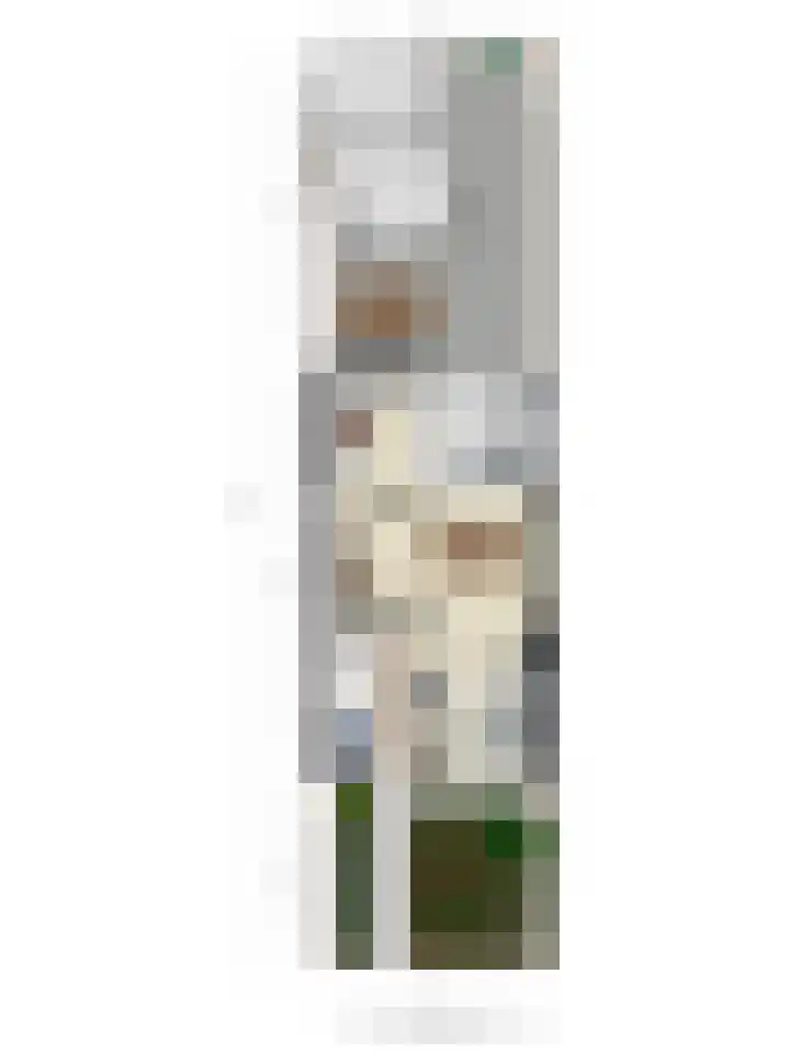 Euwsel 11 Den Dungen thumbnail 29