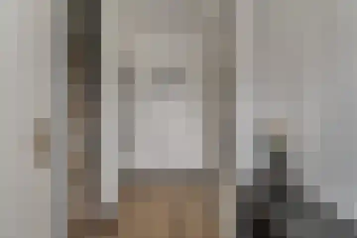 Euwsel 11 Den Dungen thumbnail 4