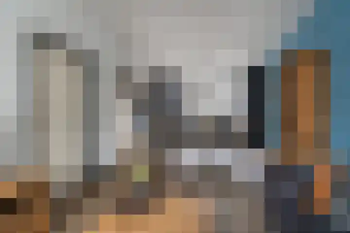 Euwsel 11 Den Dungen thumbnail 5
