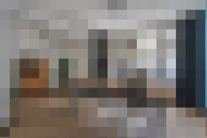 Euwsel 11 Den Dungen thumbnail 6