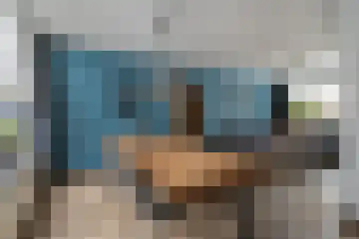 Euwsel 11 Den Dungen thumbnail 7