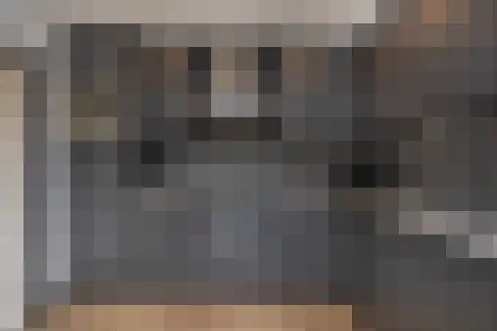 Euwsel 11 Den Dungen thumbnail 9