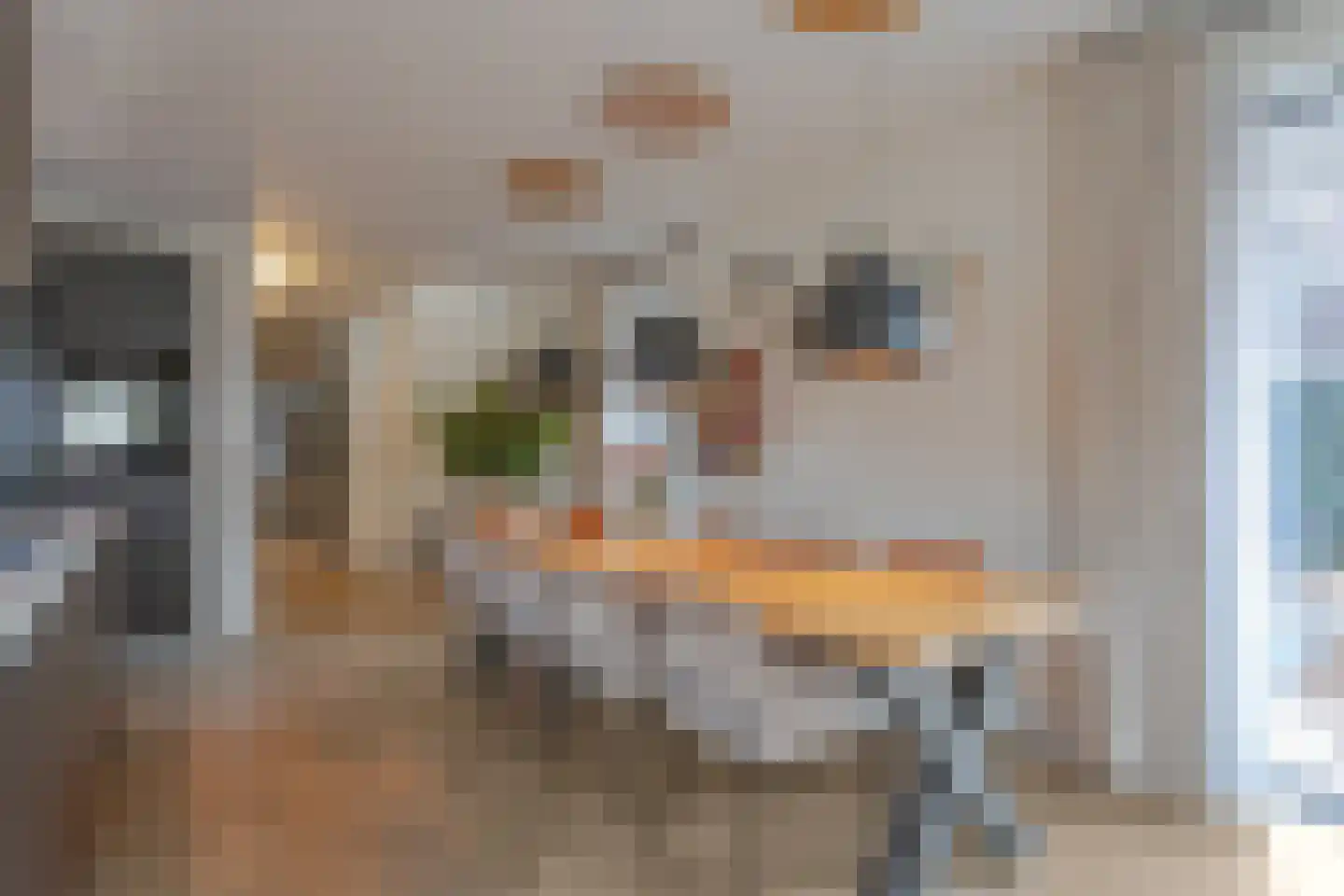 Eva Besnyöstraat 354 Amsterdam thumbnail 11