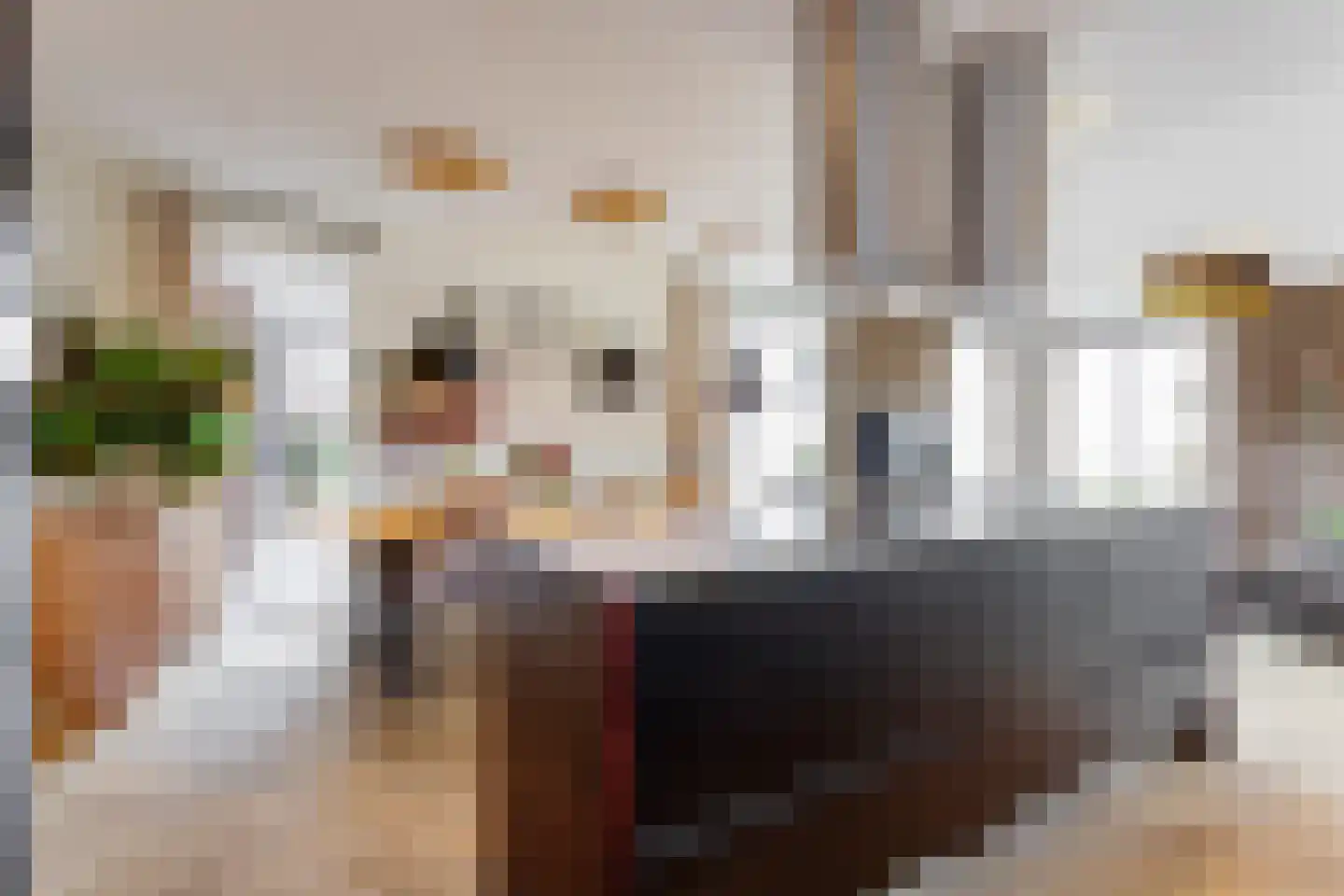 Eva Besnyöstraat 354 Amsterdam thumbnail 17