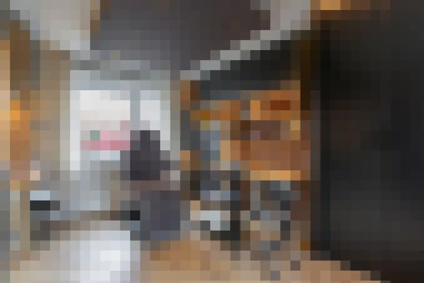 Eva Besnyöstraat 354 Amsterdam thumbnail 38