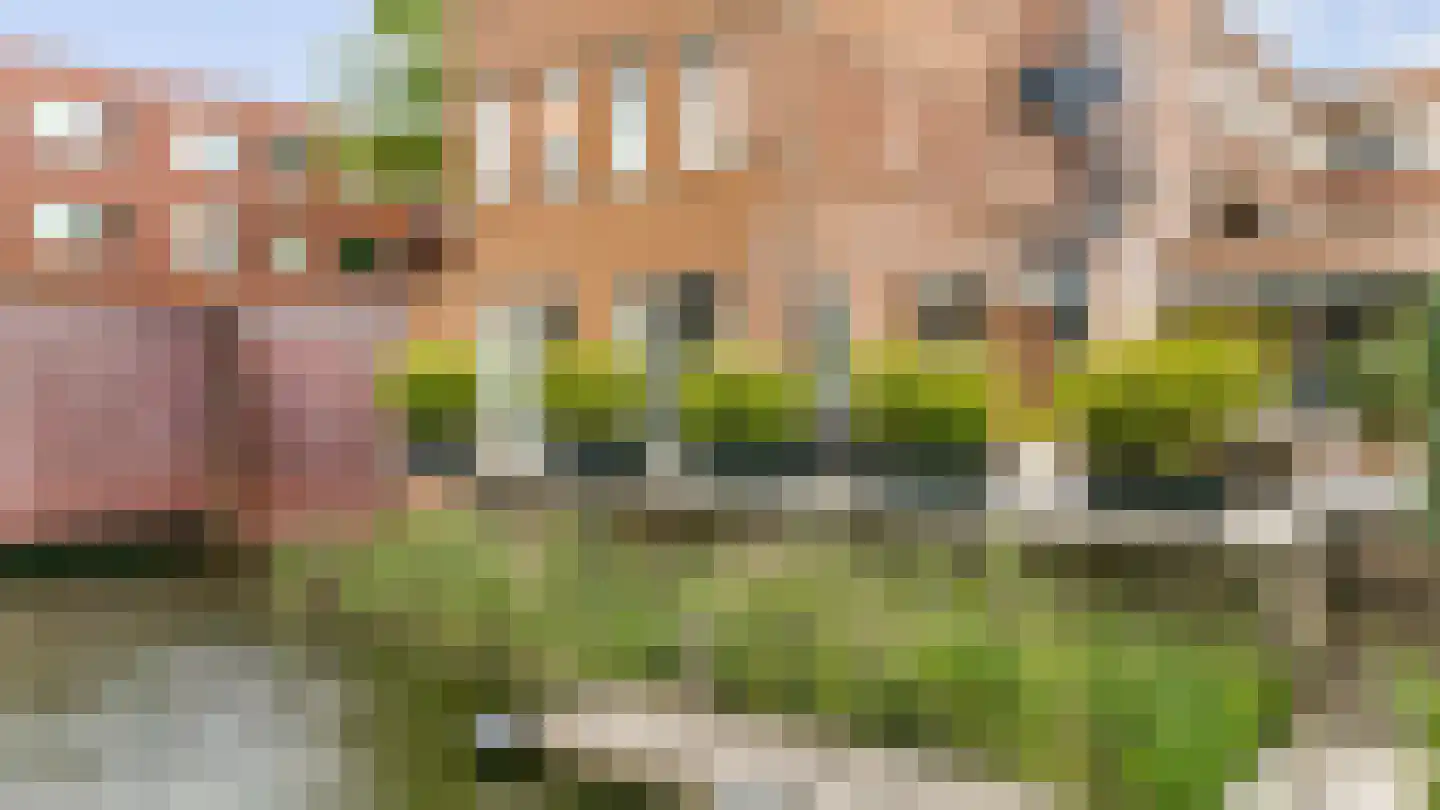 Eva Besnyöstraat 354 Amsterdam thumbnail 49