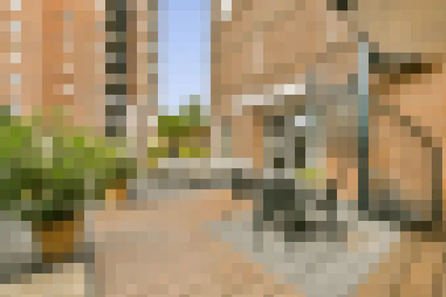 Eva Besnyöstraat 354 Amsterdam thumbnail 9