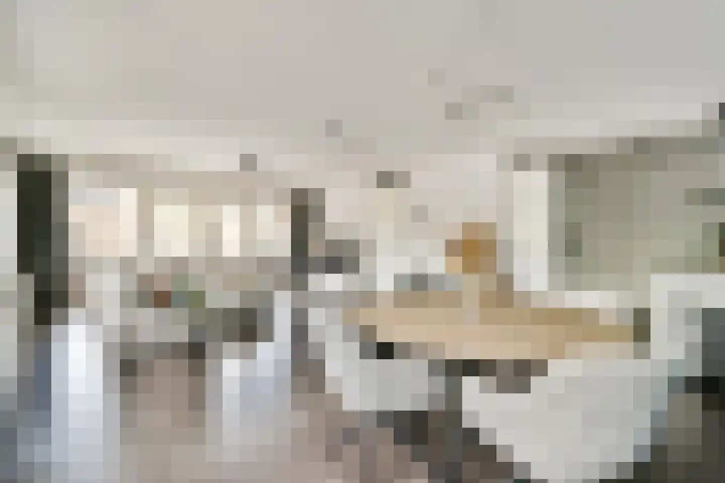 Eva Besnyöstraat 374 Amsterdam thumbnail 6