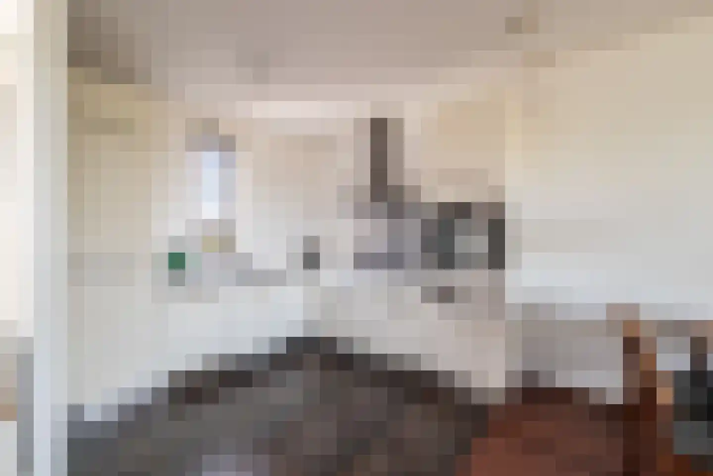 Eva Besnyöstraat 389 Amsterdam thumbnail 9