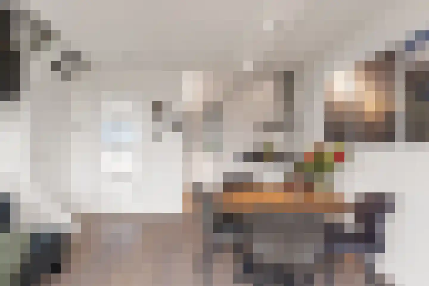Eva Besnyöstraat 393 Amsterdam thumbnail 18