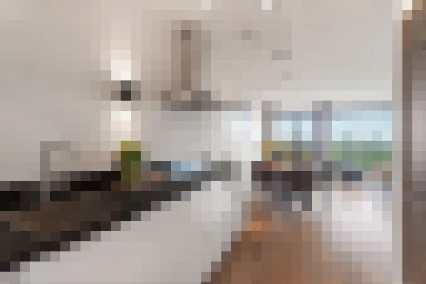 Eva Besnyöstraat 393 Amsterdam thumbnail 22